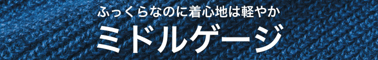 ミドルゲージタイトル