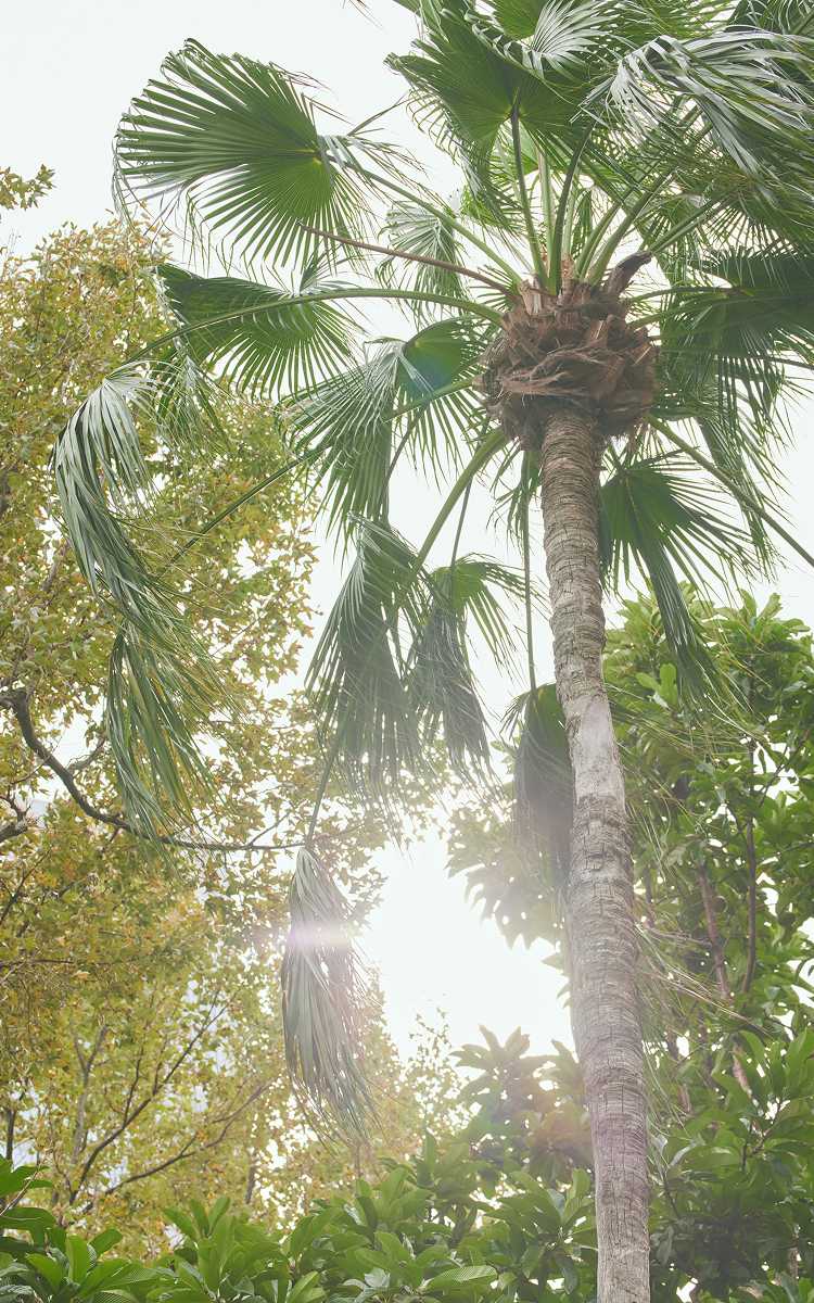 Summer Adventure with City Bohemian Style